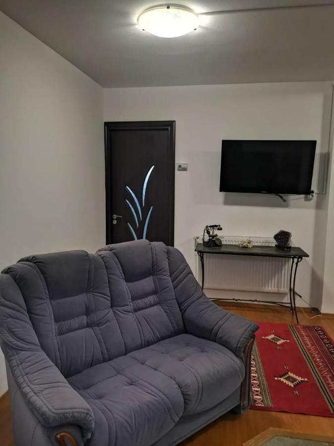 Viking Apartment Grigo Cluj-Napoca Zimmer foto